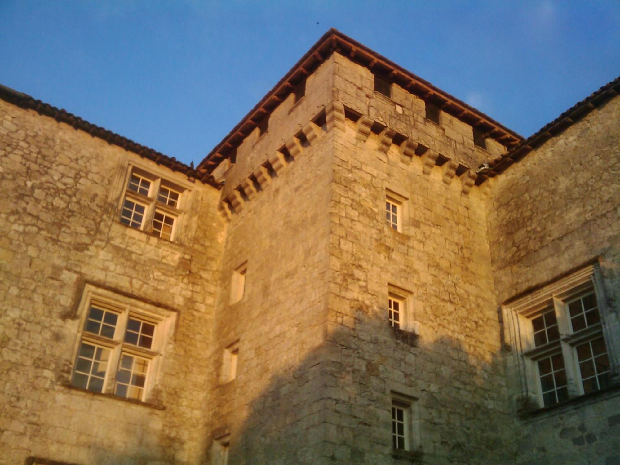 Chateau De Fourcès エクステリア 写真